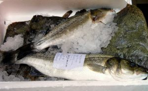 branzino di Goro in ghiaccio