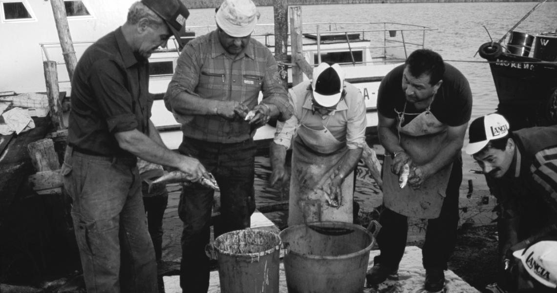 Il lavoro di squadra dei pescatori in tempi non sospetti